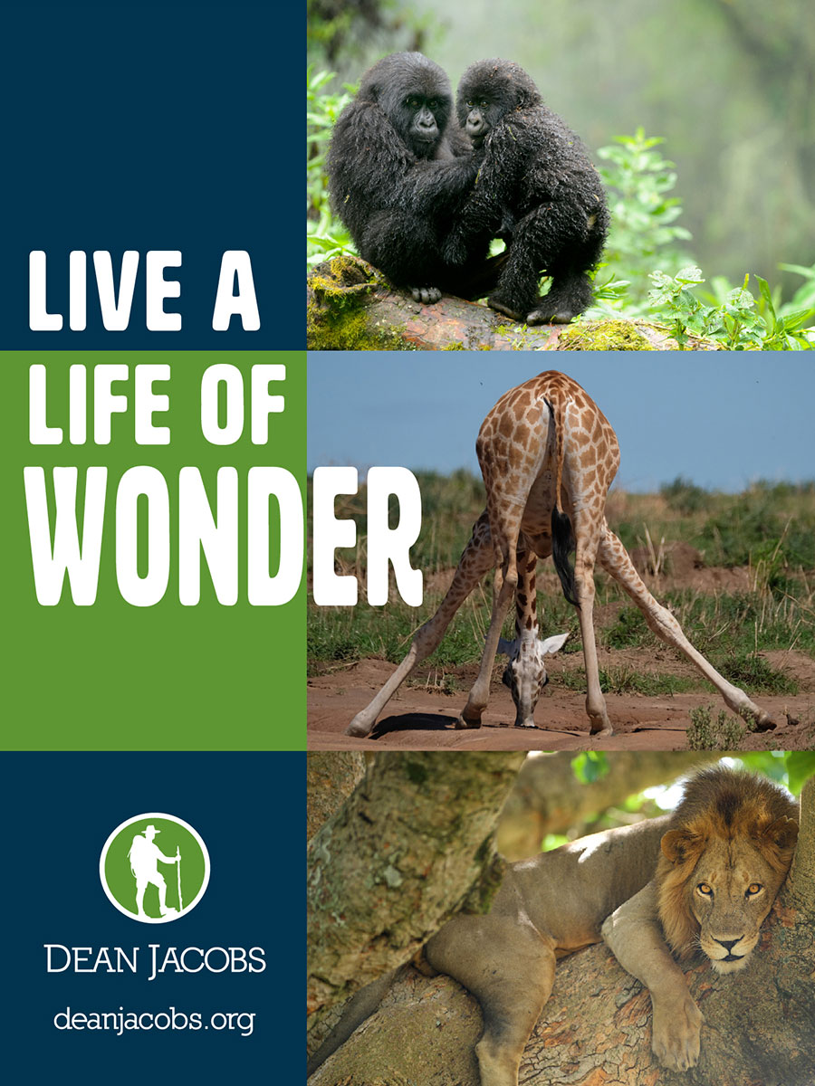 Live a Life of Wonder poster with photos of gorillas, lions and giraffe bending over