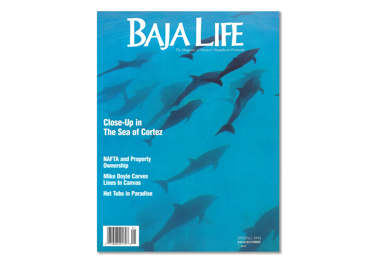 Baja Life magazine cover with photo of dolphins under water