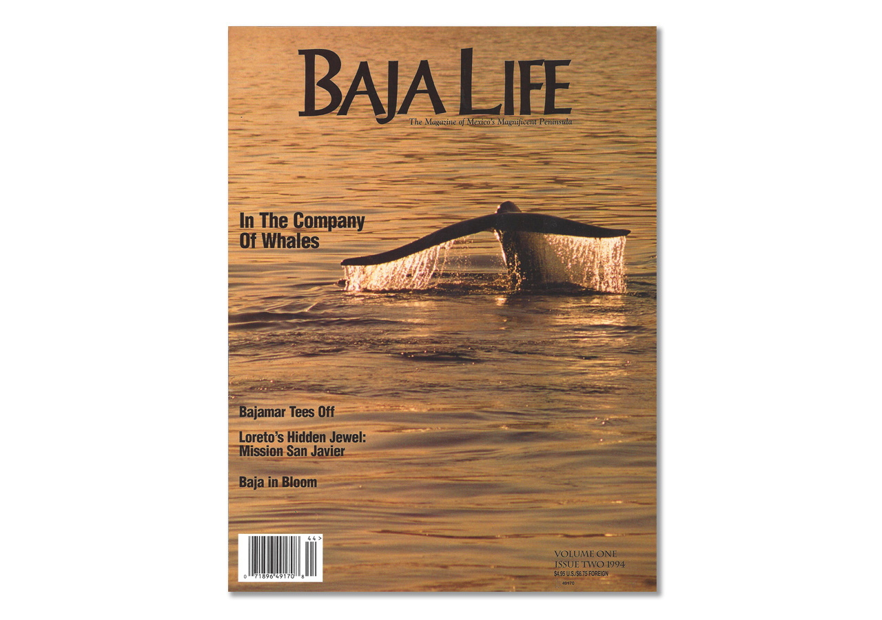 Baja Life magazine cover of whale tale popping out of water at sunset
