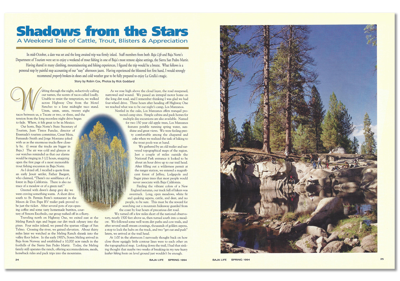 Magazine spread with photo of large pine trees growing in rocks and aspen trees