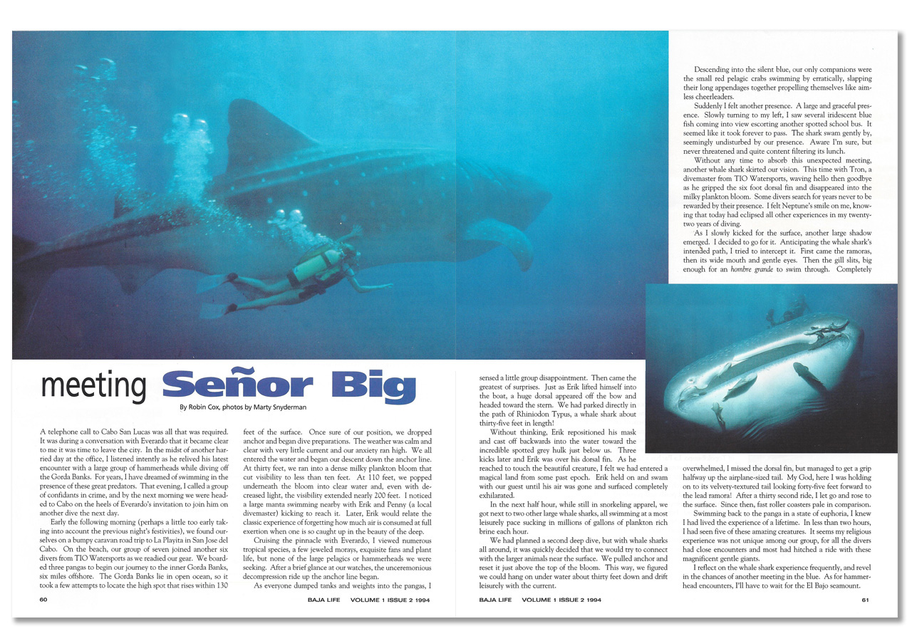 Magazine spread of woman swimming under water with spotted whale sharks